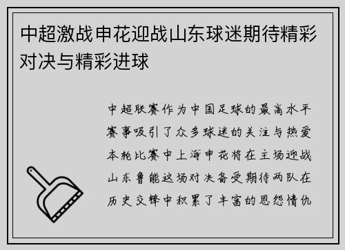 中超激战申花迎战山东球迷期待精彩对决与精彩进球