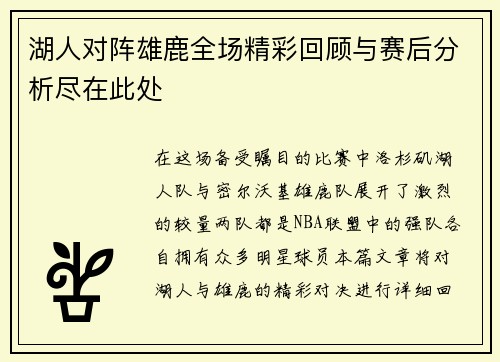 湖人对阵雄鹿全场精彩回顾与赛后分析尽在此处