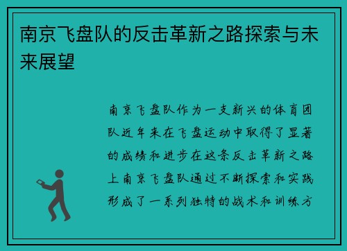 南京飞盘队的反击革新之路探索与未来展望